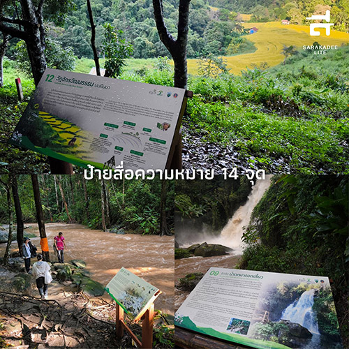 ป้ายสื่อความหมายตลอดเส้นทางศึกษาธรรมชาติผาดอกเสี้ยว